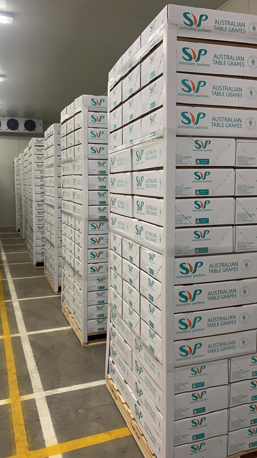 Packing-Grapes-SVP